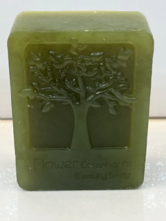 סבון טבעי מוצק אלוורה 100 גרם. מטפל ומחטא פעילות אנטי פטרייתית קנדידה. עקיצות. כוויות. אקזמה.